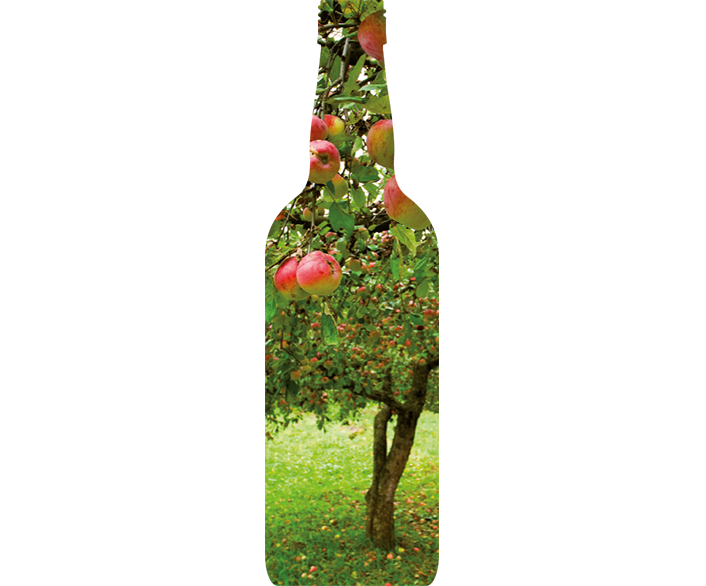 Grafik in Form einer Flasche, darin ein Apfelbaum